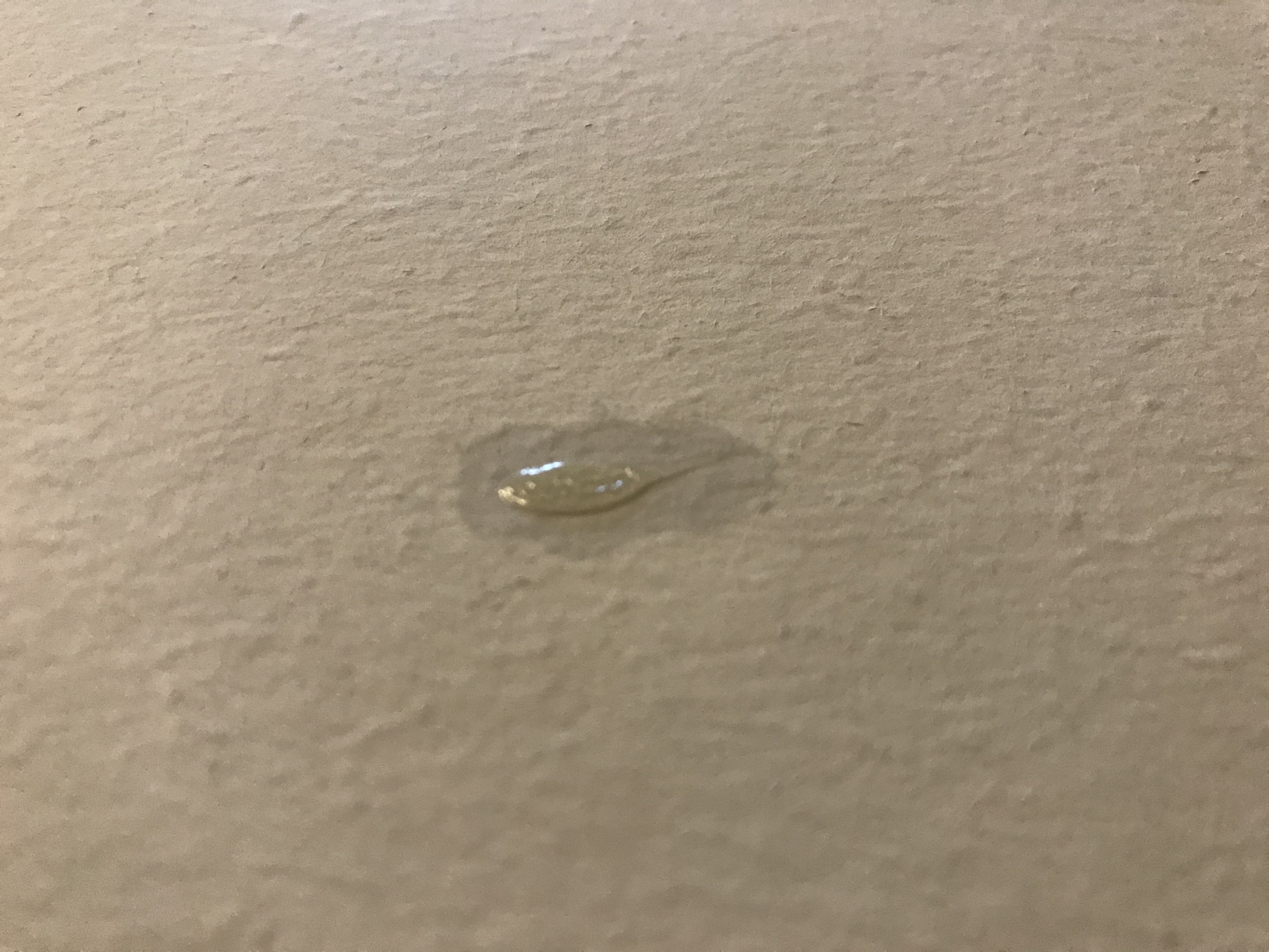 Picture for question