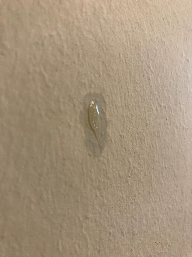 Picture for question