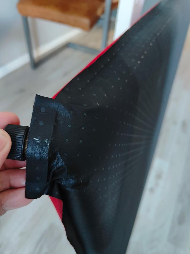 Picture for question