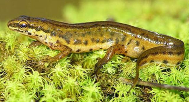 Plaatje bij antwoord