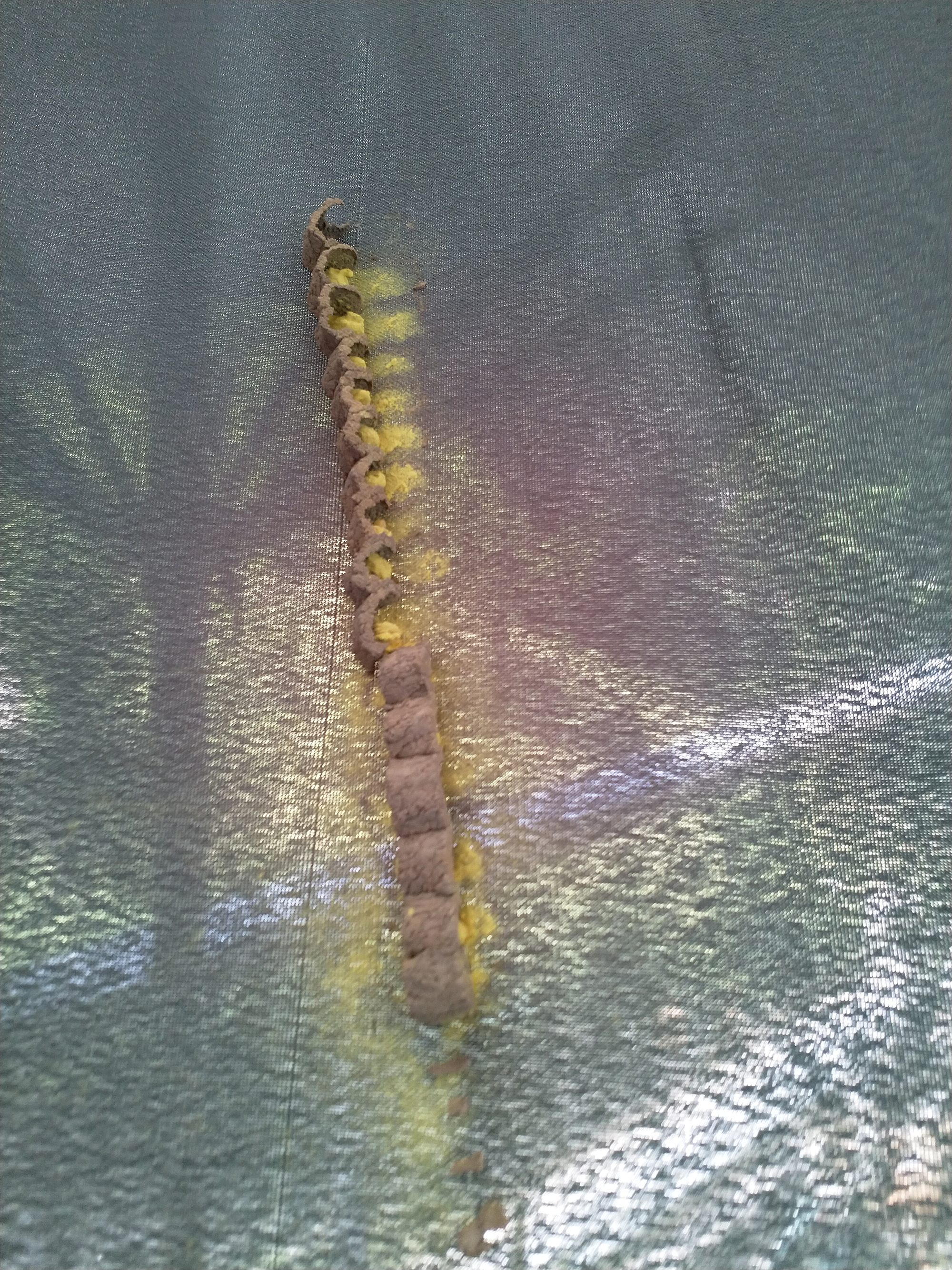 Picture for question