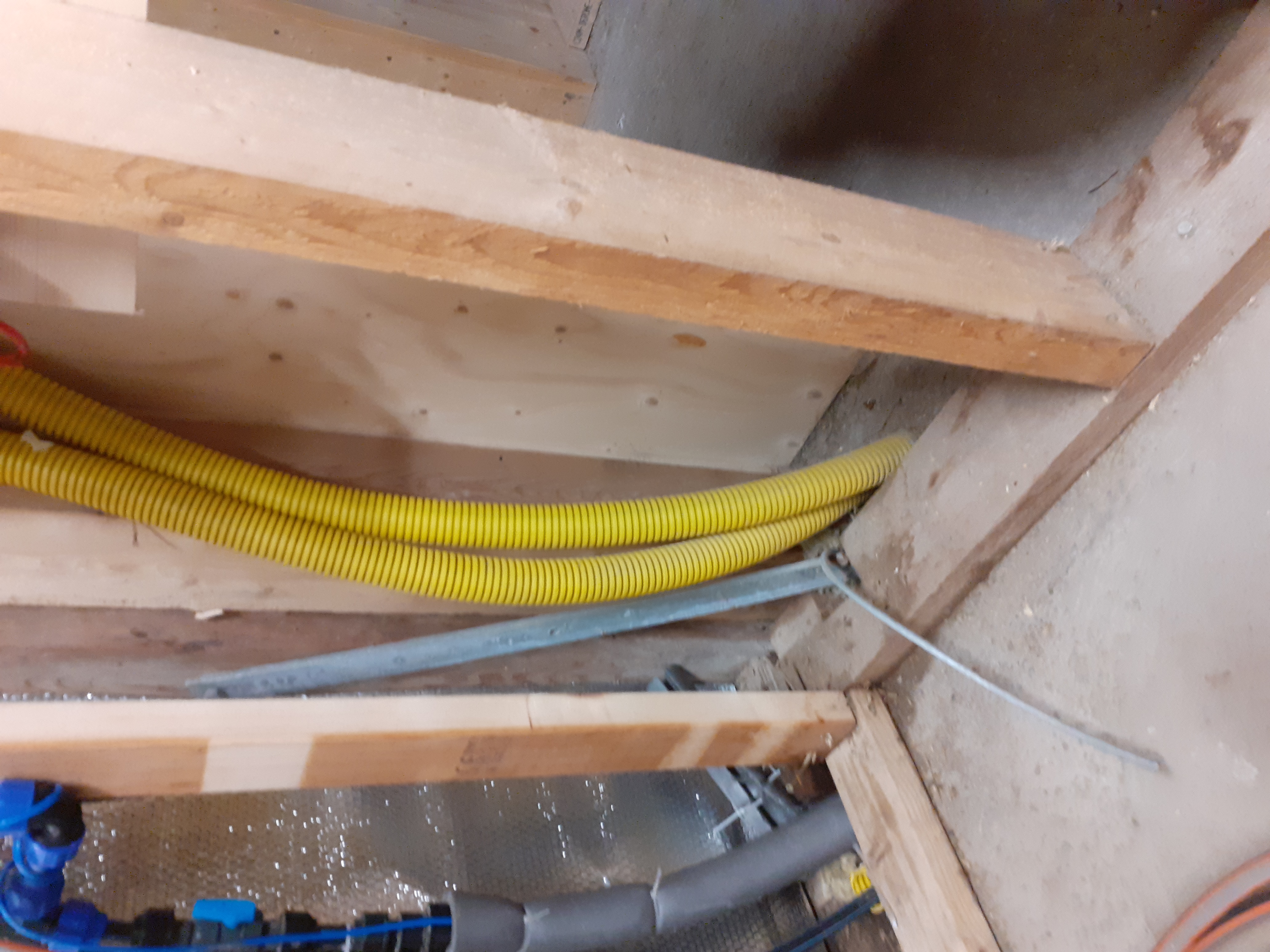 Picture for question