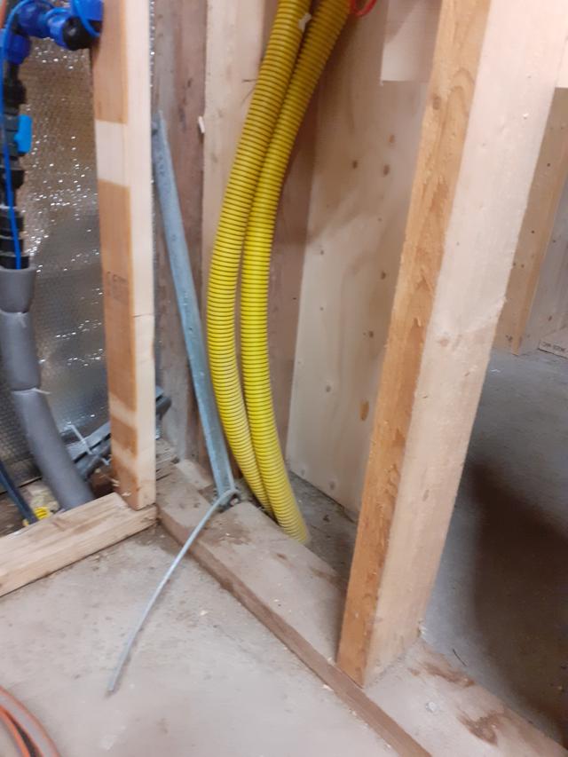 Picture for question