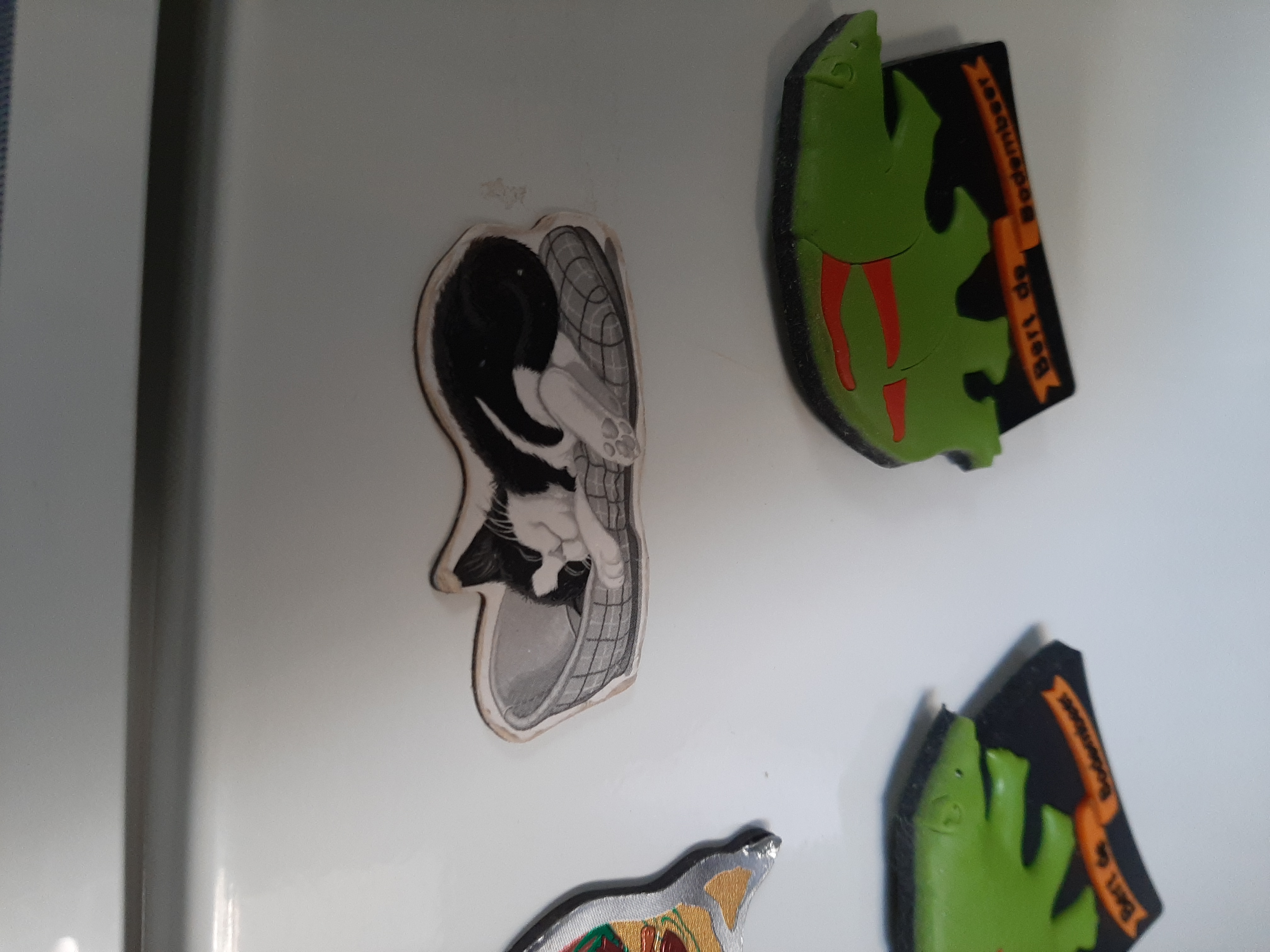 Picture for question