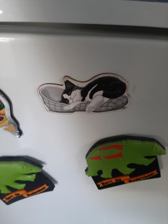 Picture for question