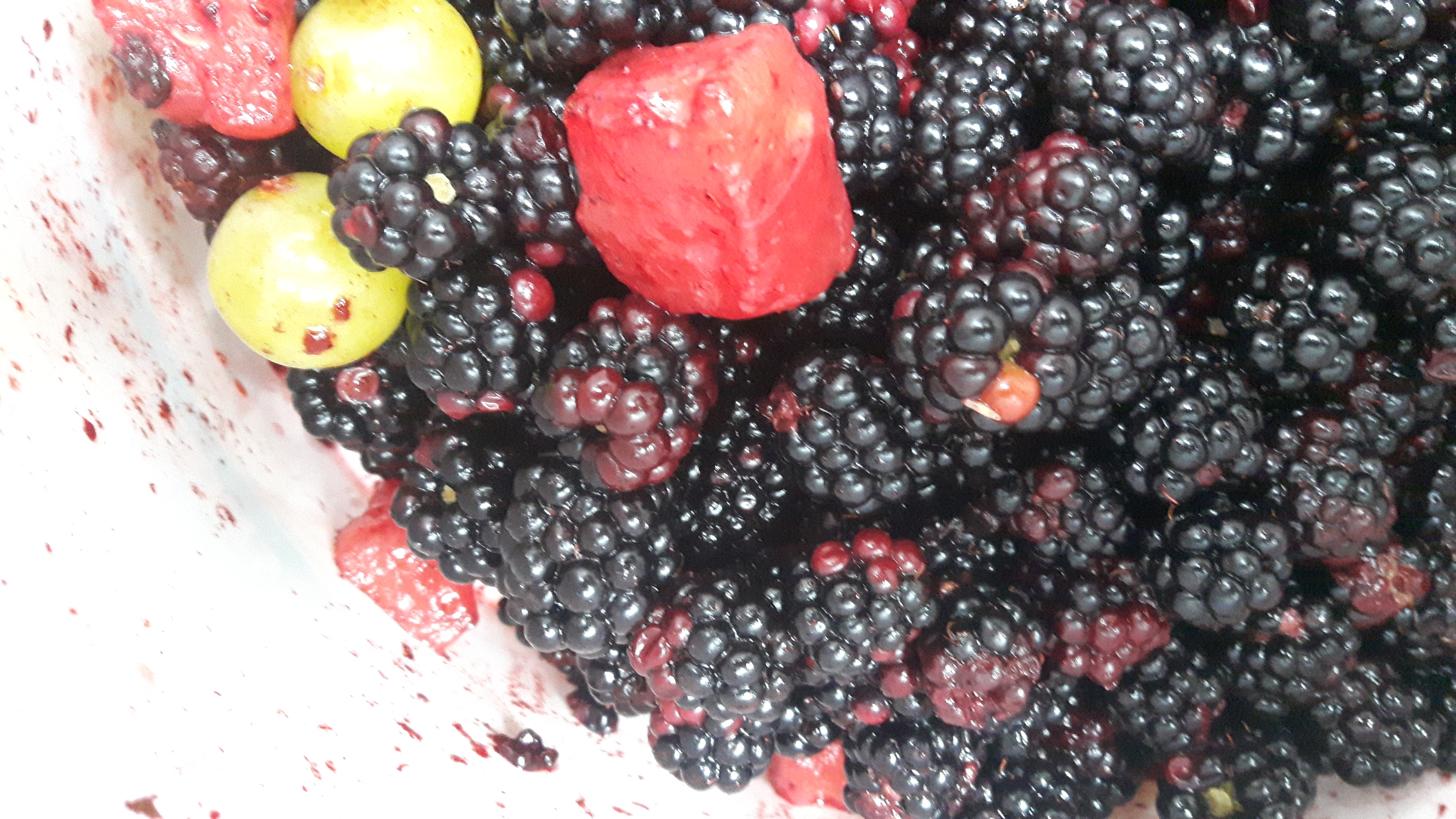 Picture for question