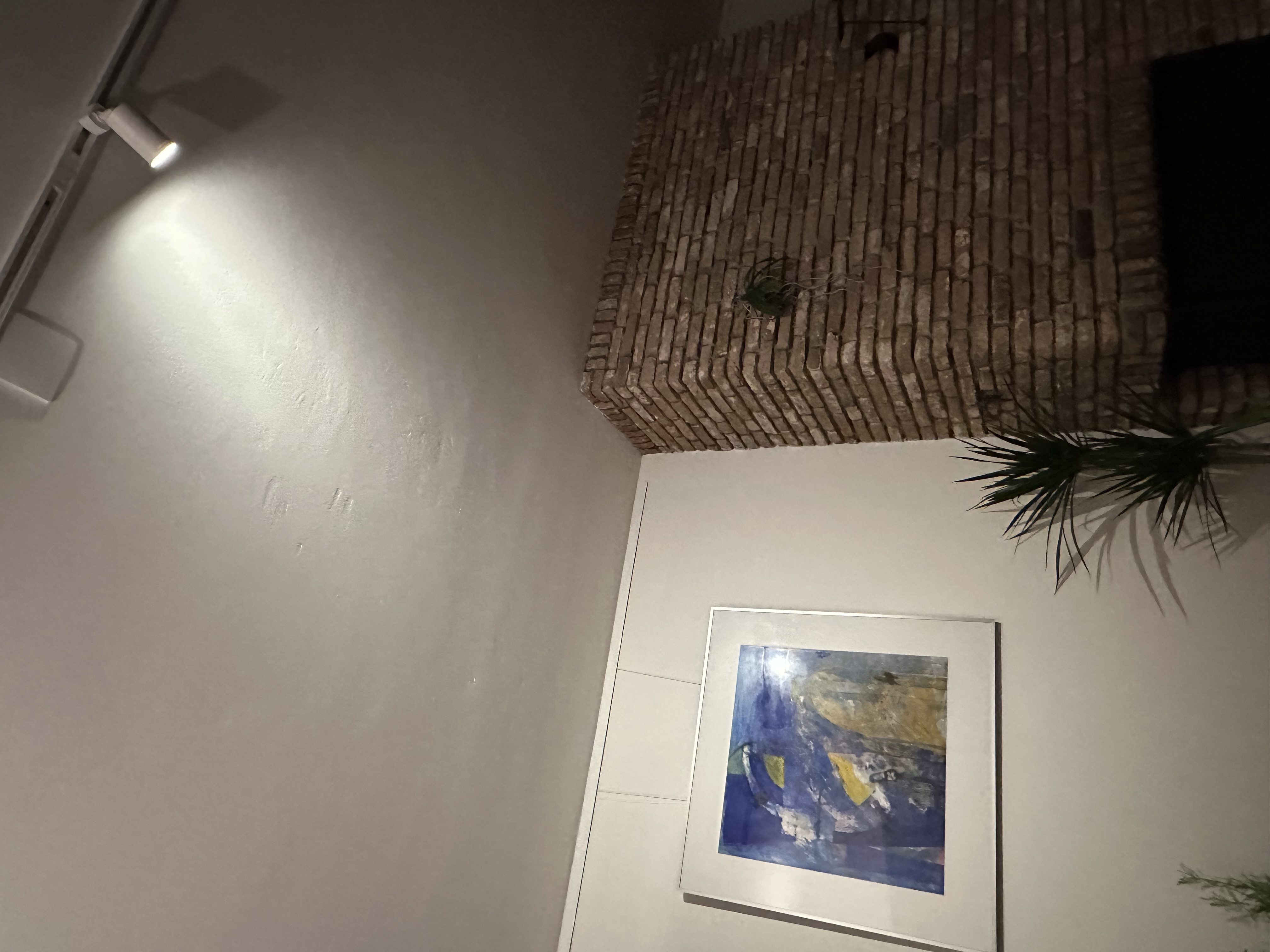 Picture for question