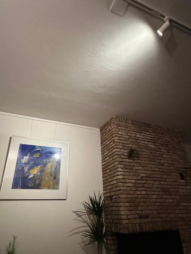 Picture for question