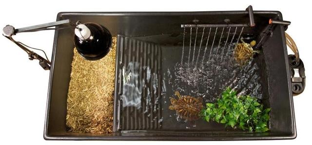 Plaatje bij antwoord