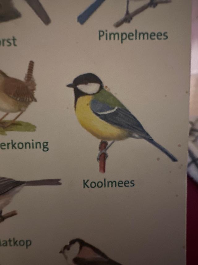 Plaatje bij antwoord