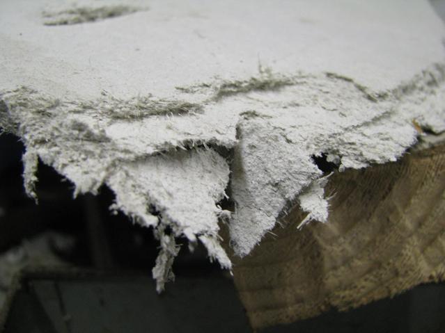 Picture for question