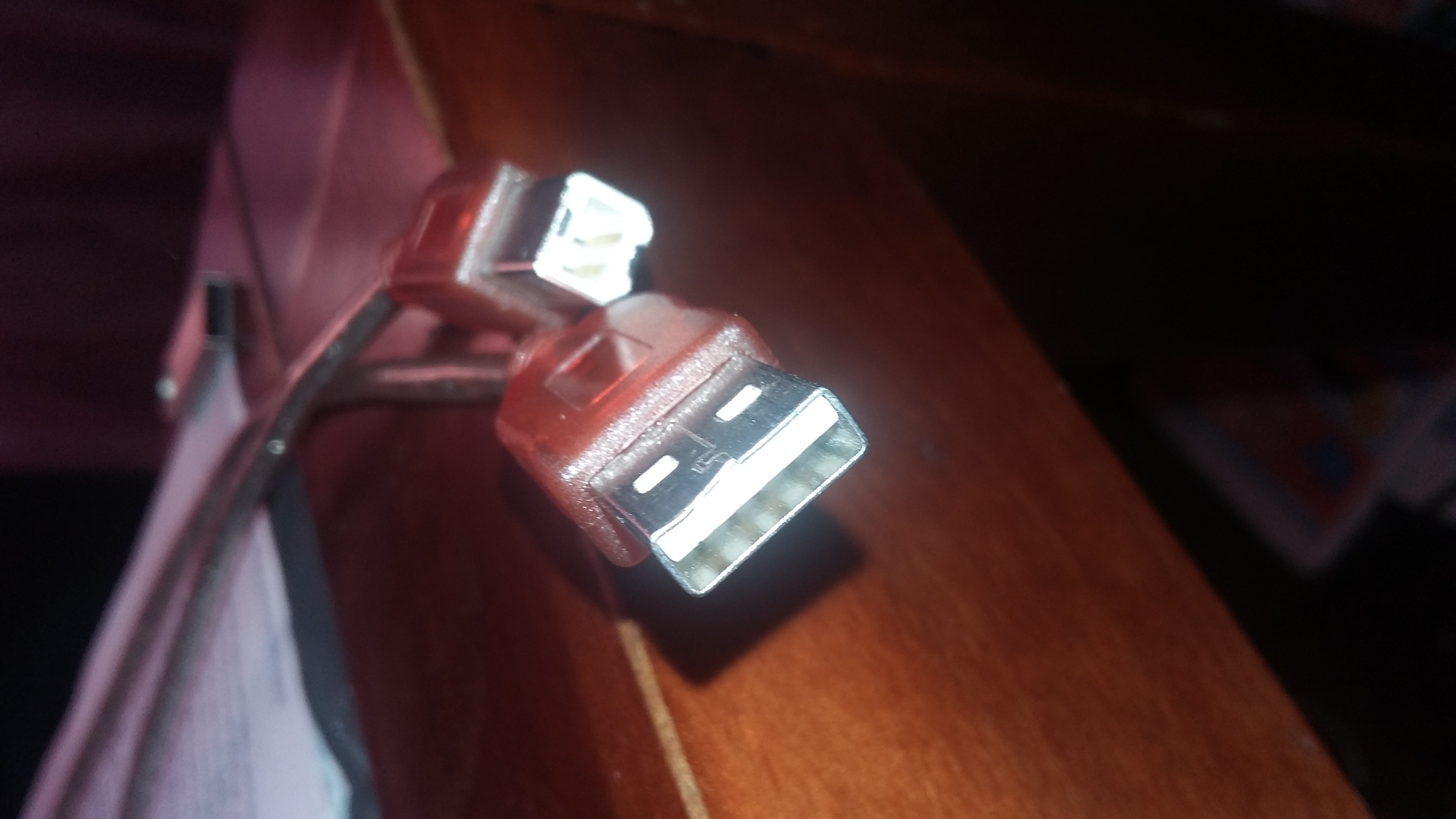 Picture for question