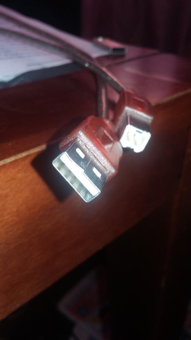 Picture for question