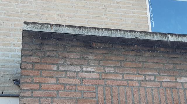 Picture for question