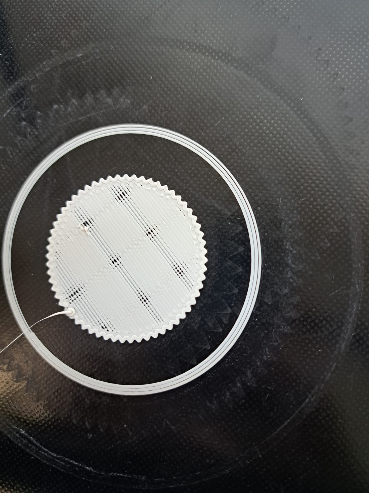 Picture for question