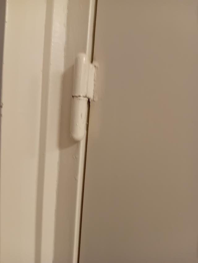 Picture for question