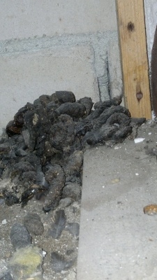 Plaatje bij antwoord