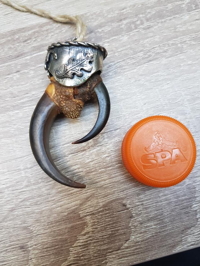 Picture for question