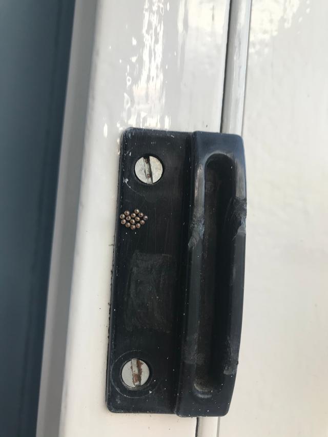 Picture for question