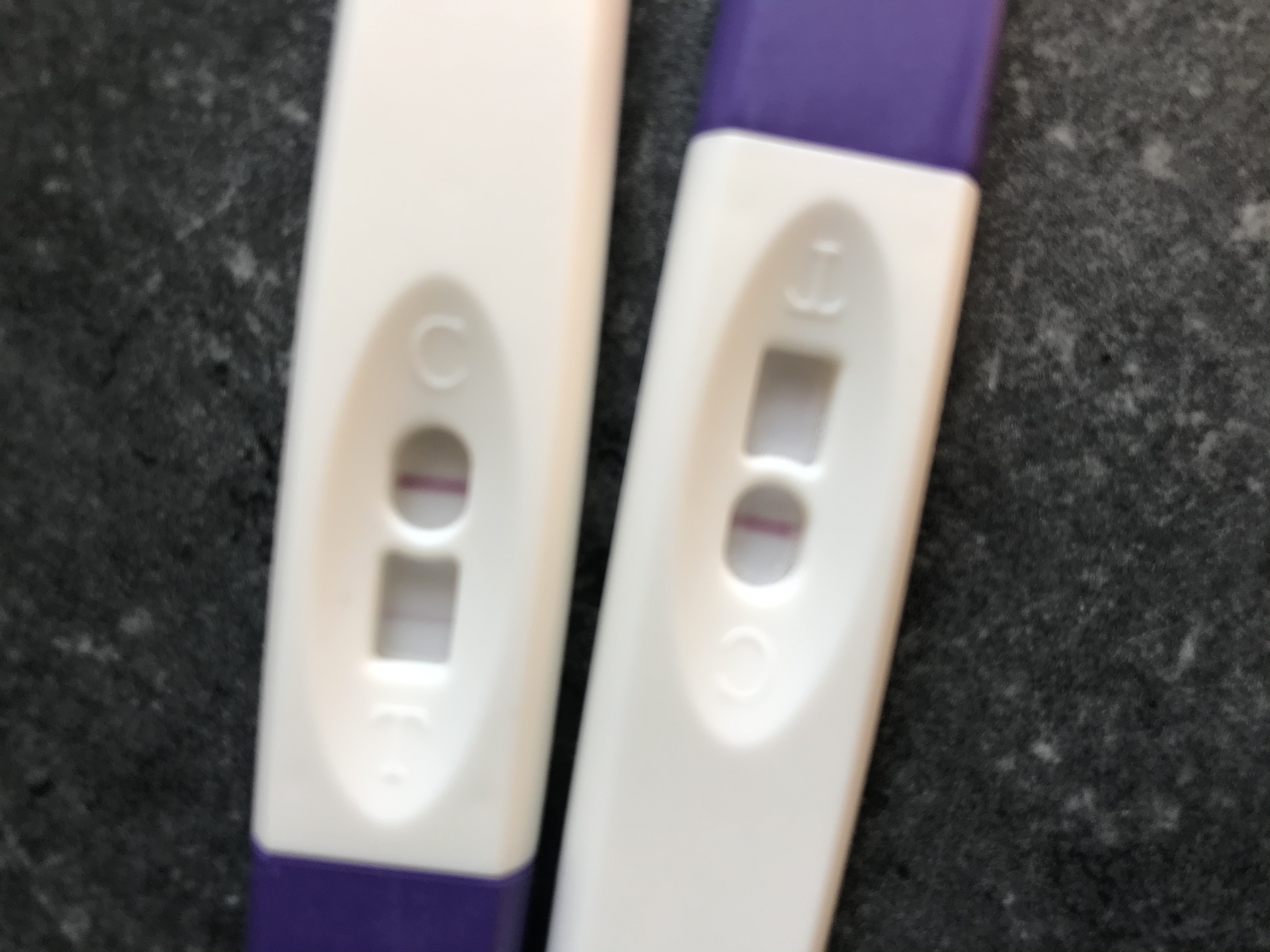 Picture for question