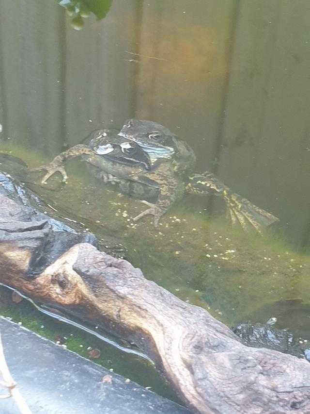 Picture for question