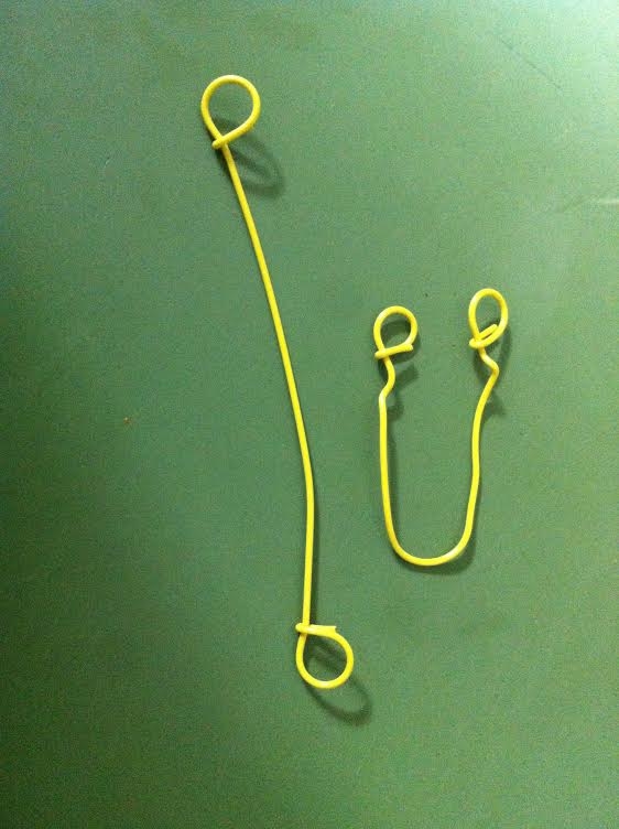 Picture for question