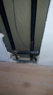 Picture for question