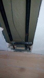 Picture for question