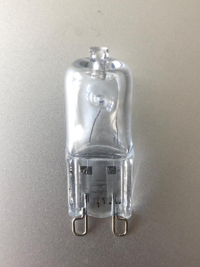 Picture for question