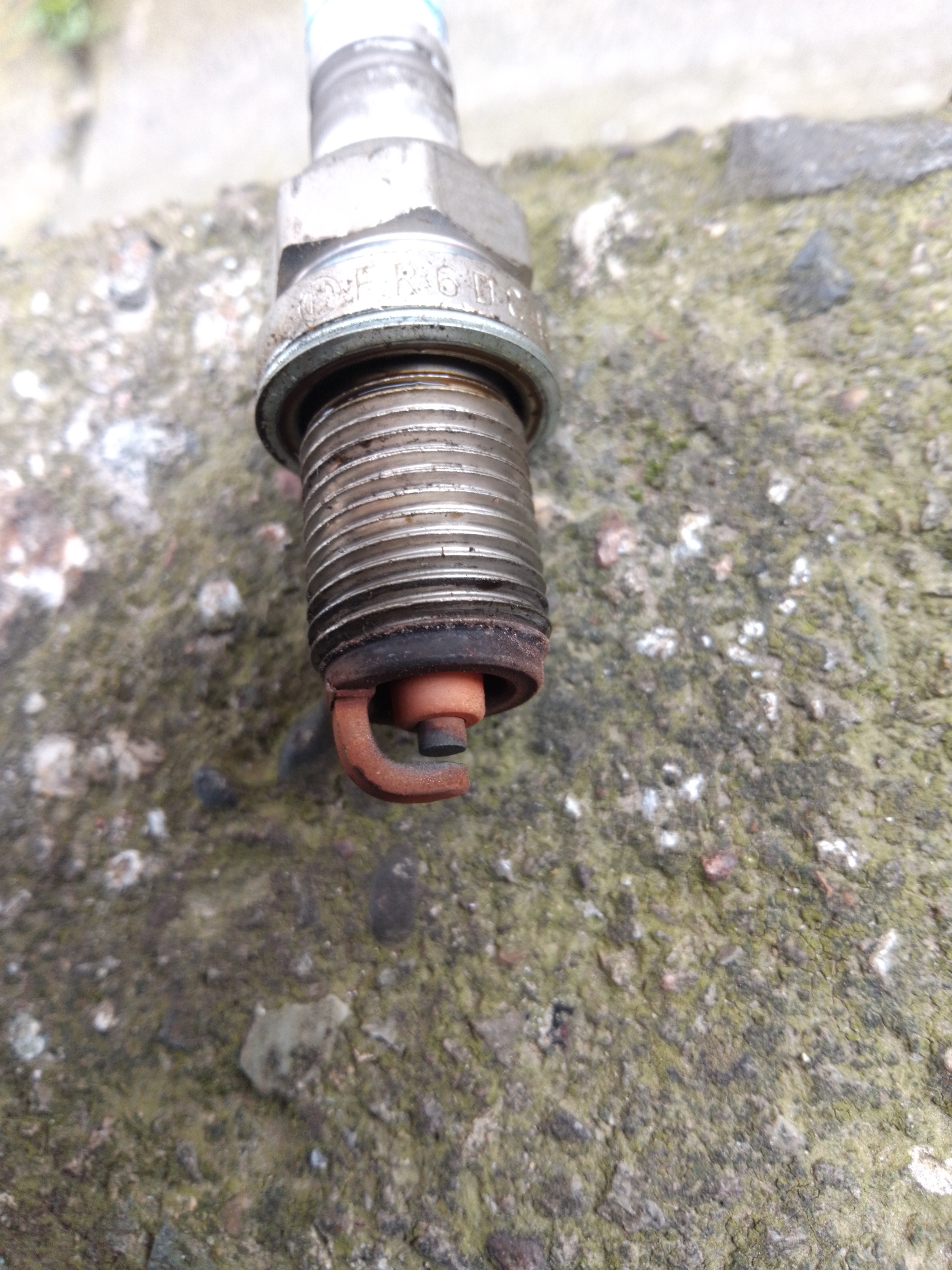 Picture for question