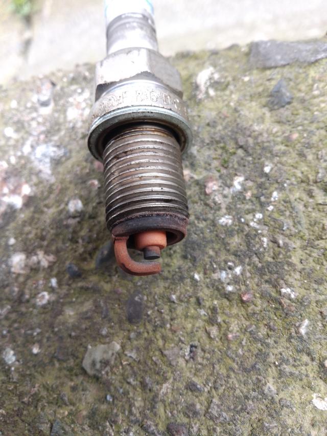 Picture for question