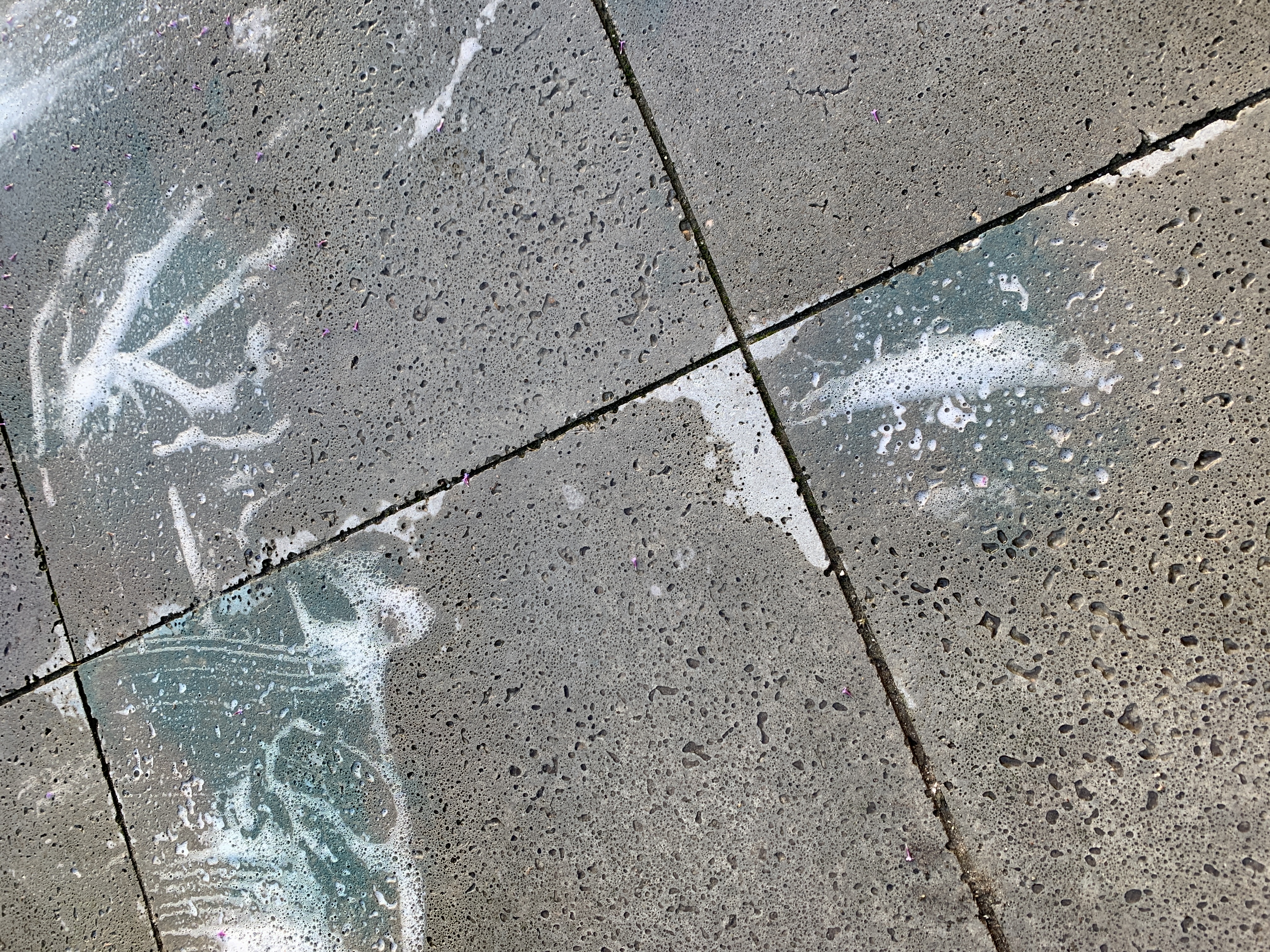 Picture for question