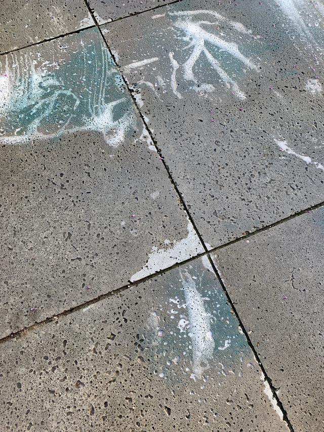 Picture for question