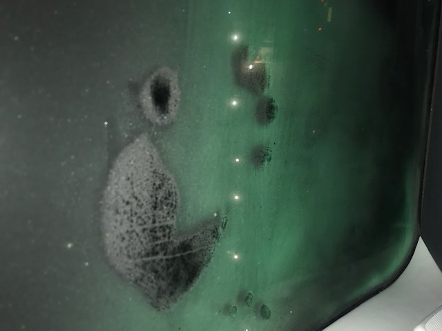 Picture for question