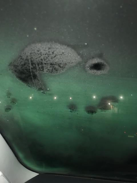 Picture for question