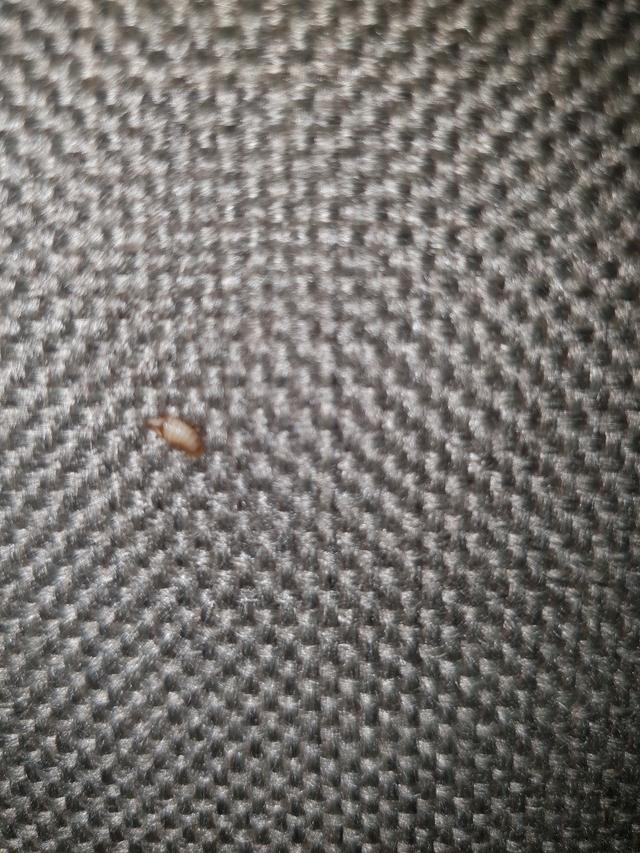 Picture for question