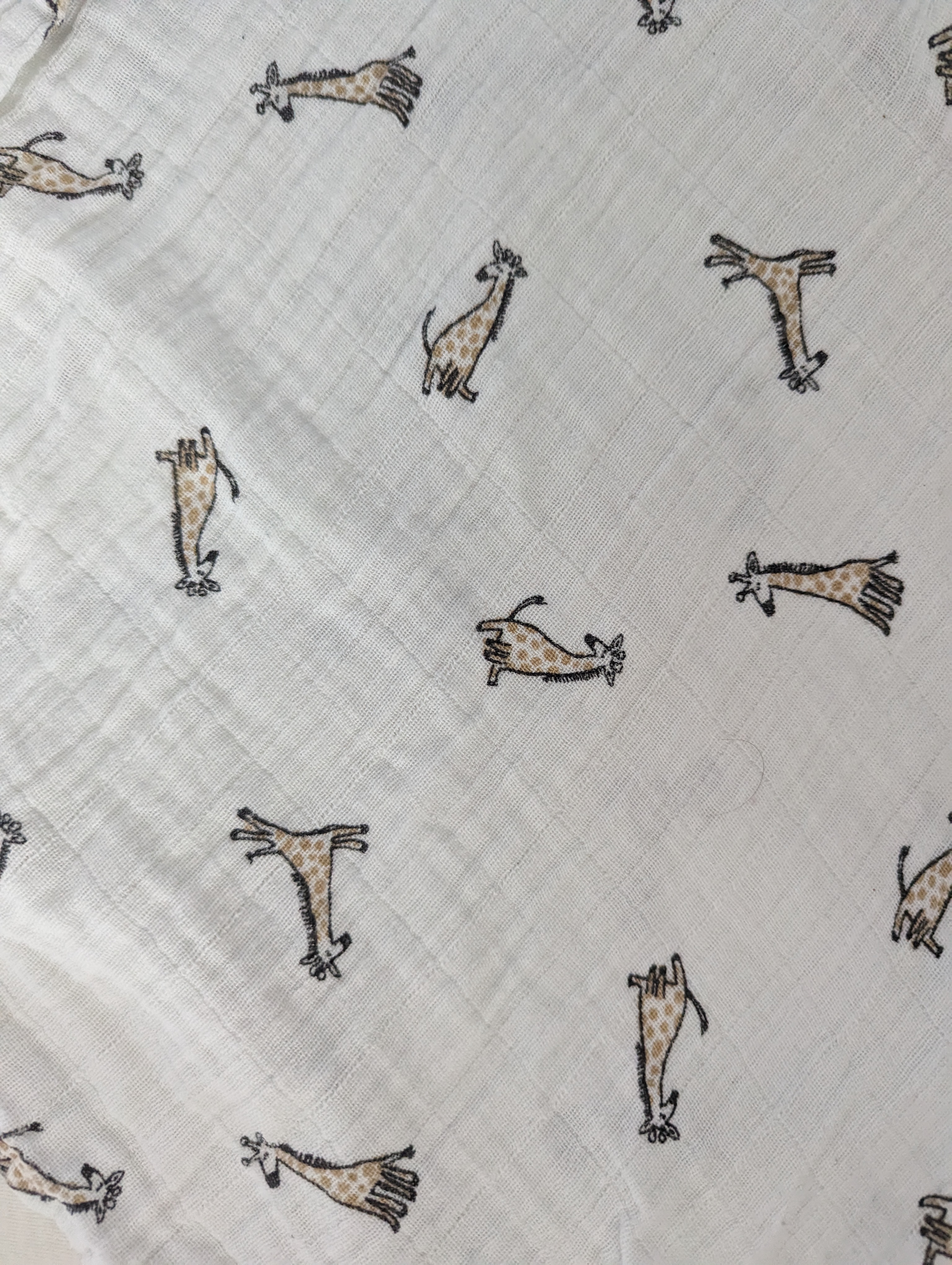 Picture for question