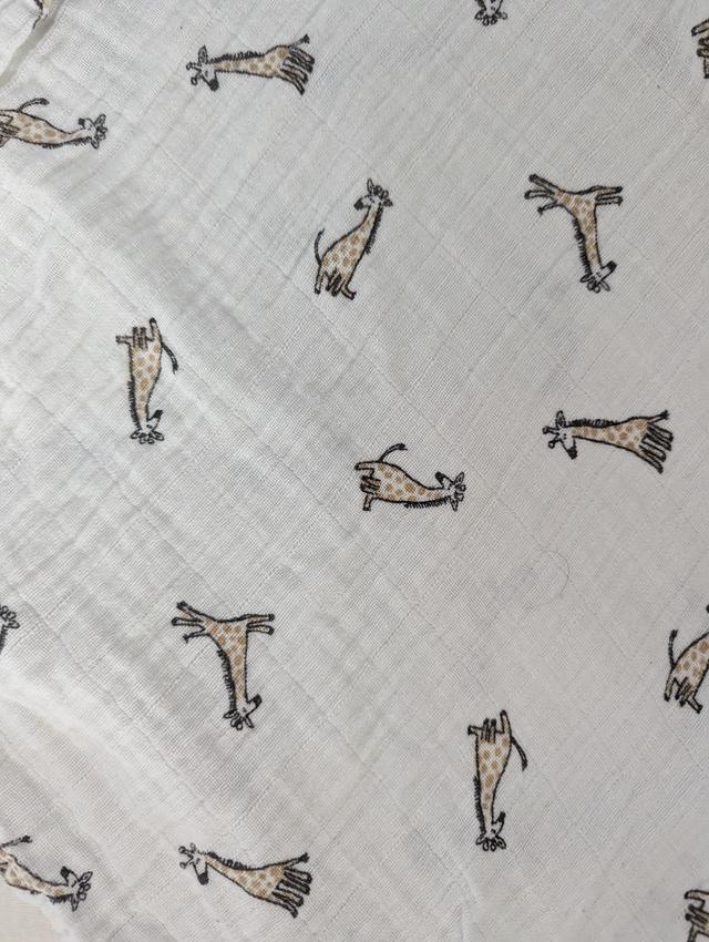 Picture for question