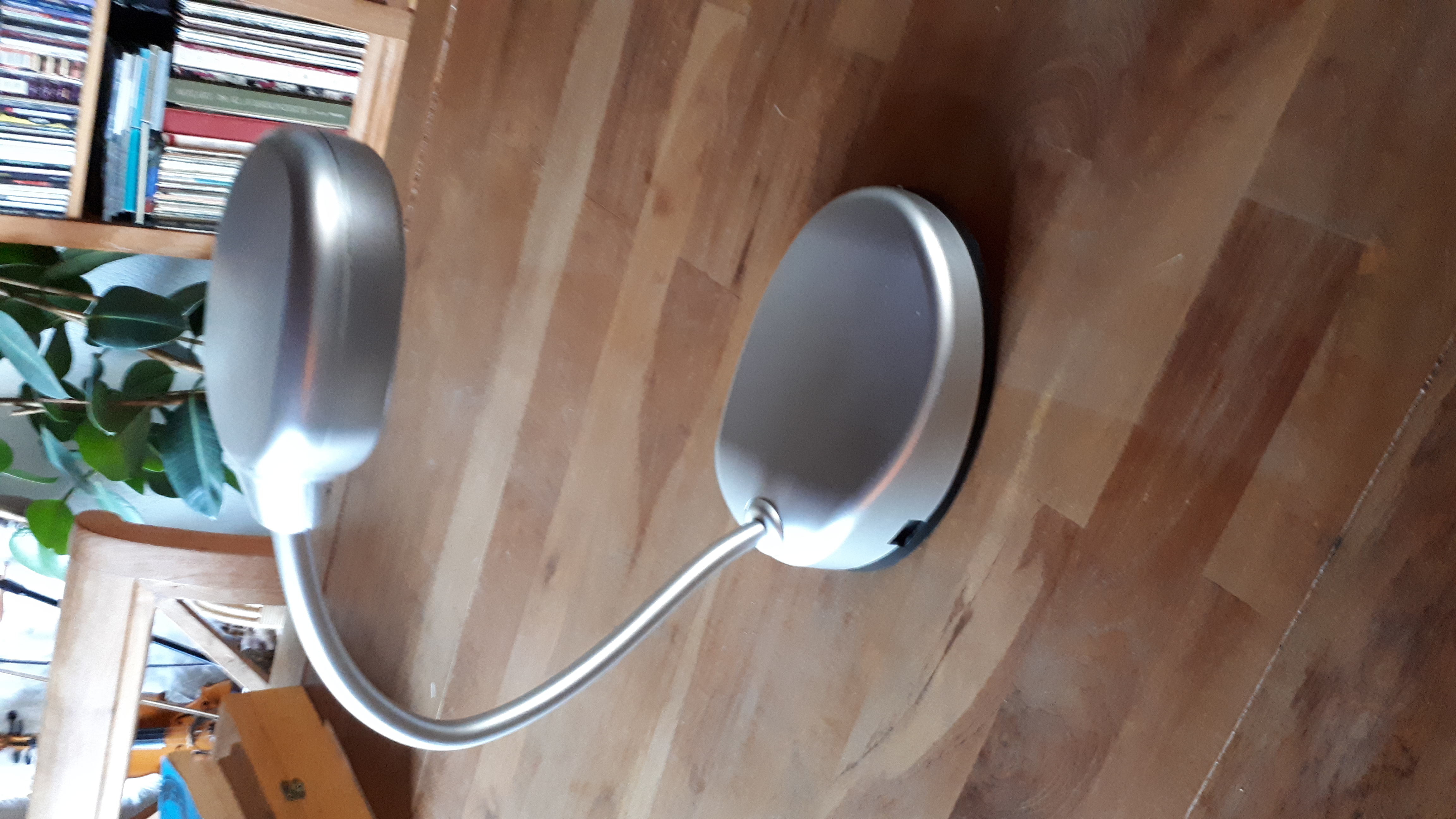 Picture for question