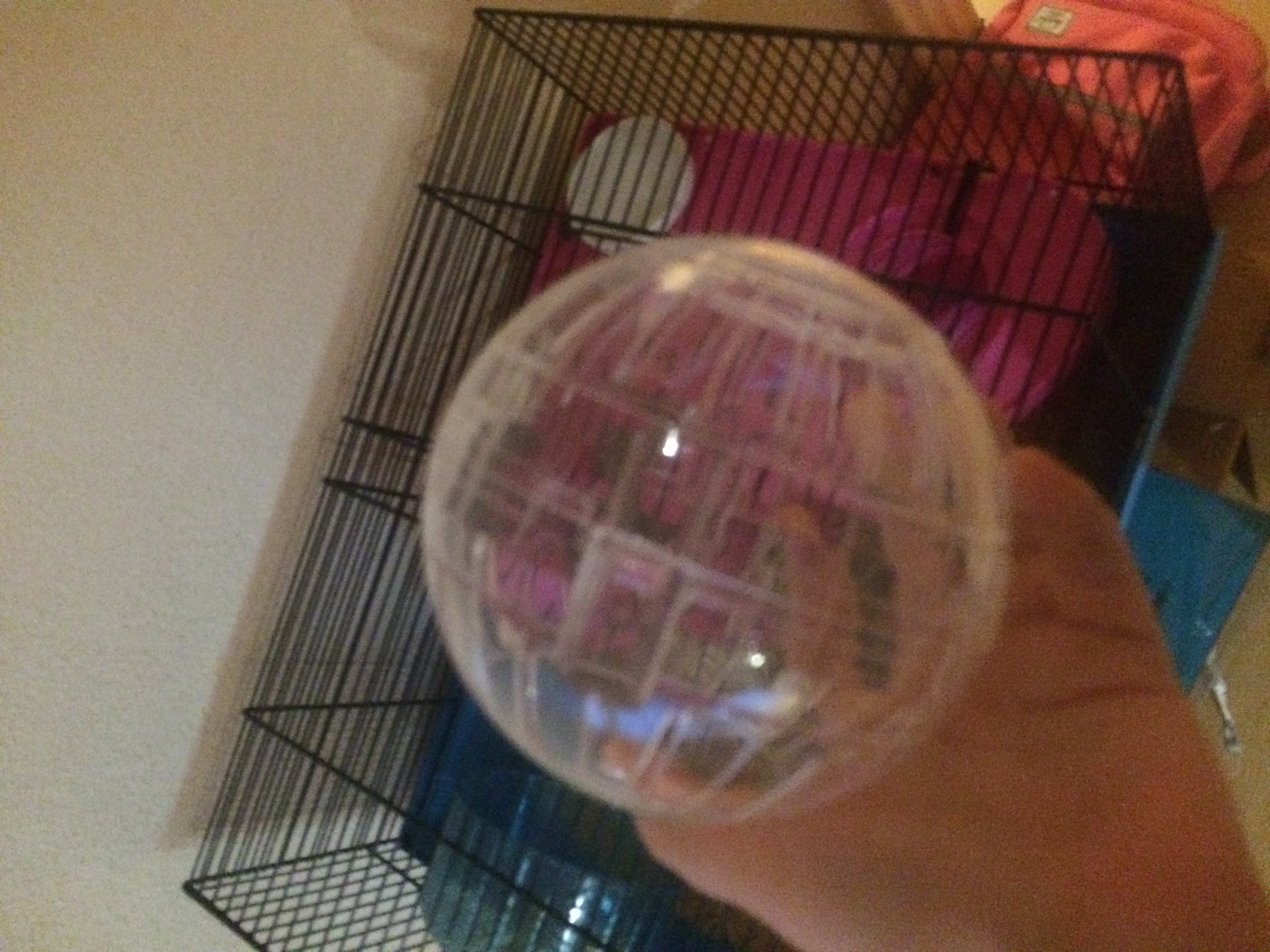 Picture for question