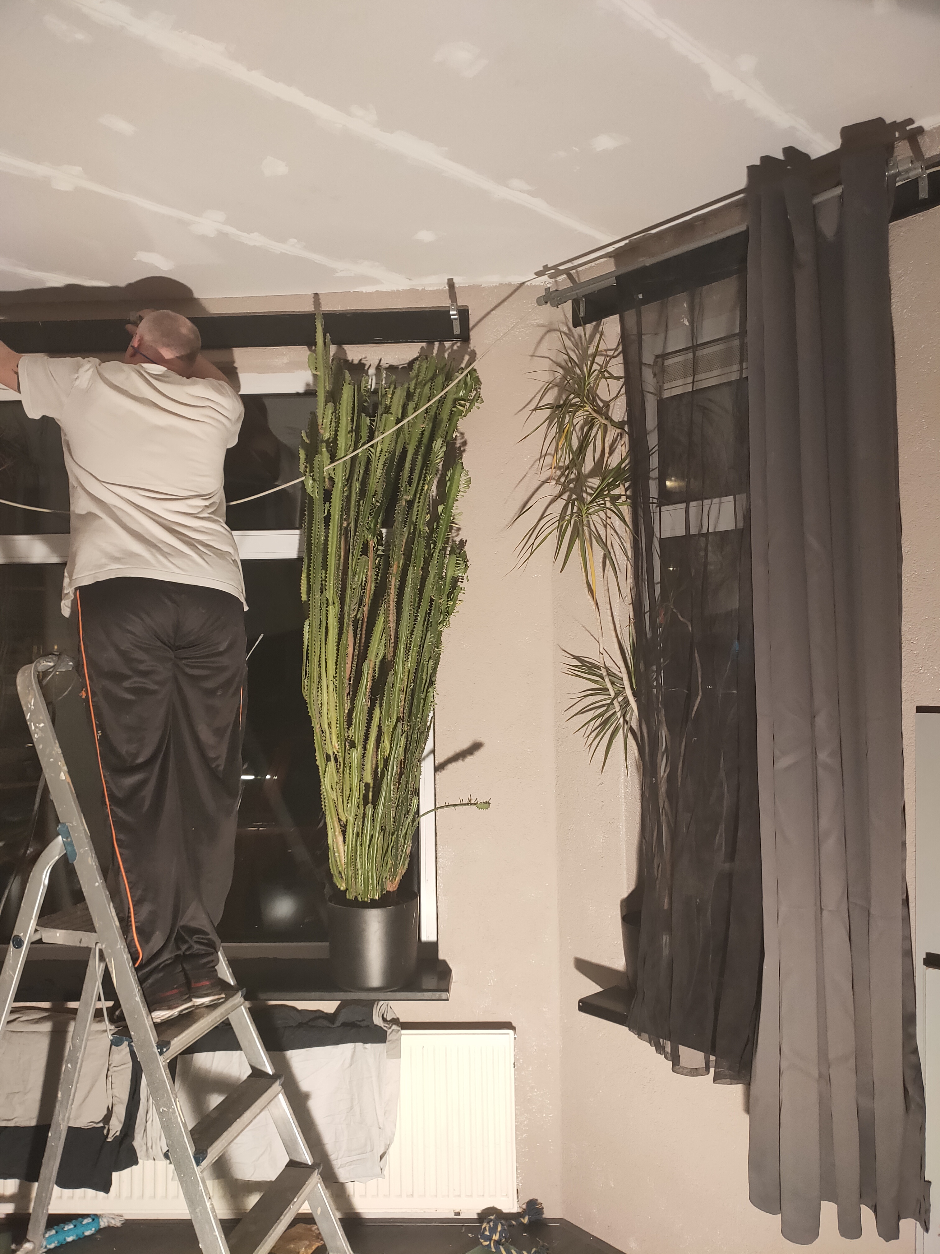 Picture for question