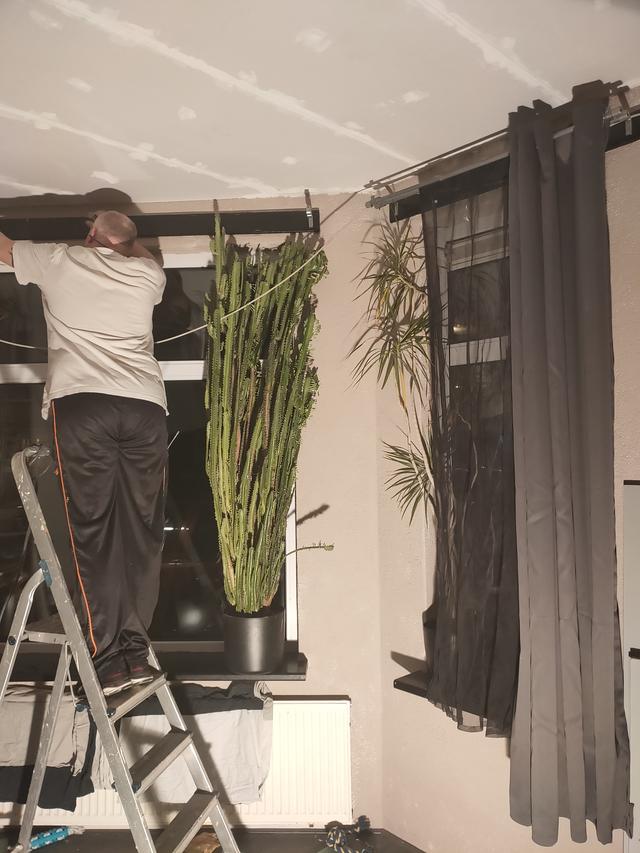 Picture for question