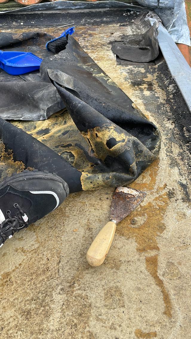 Picture for question