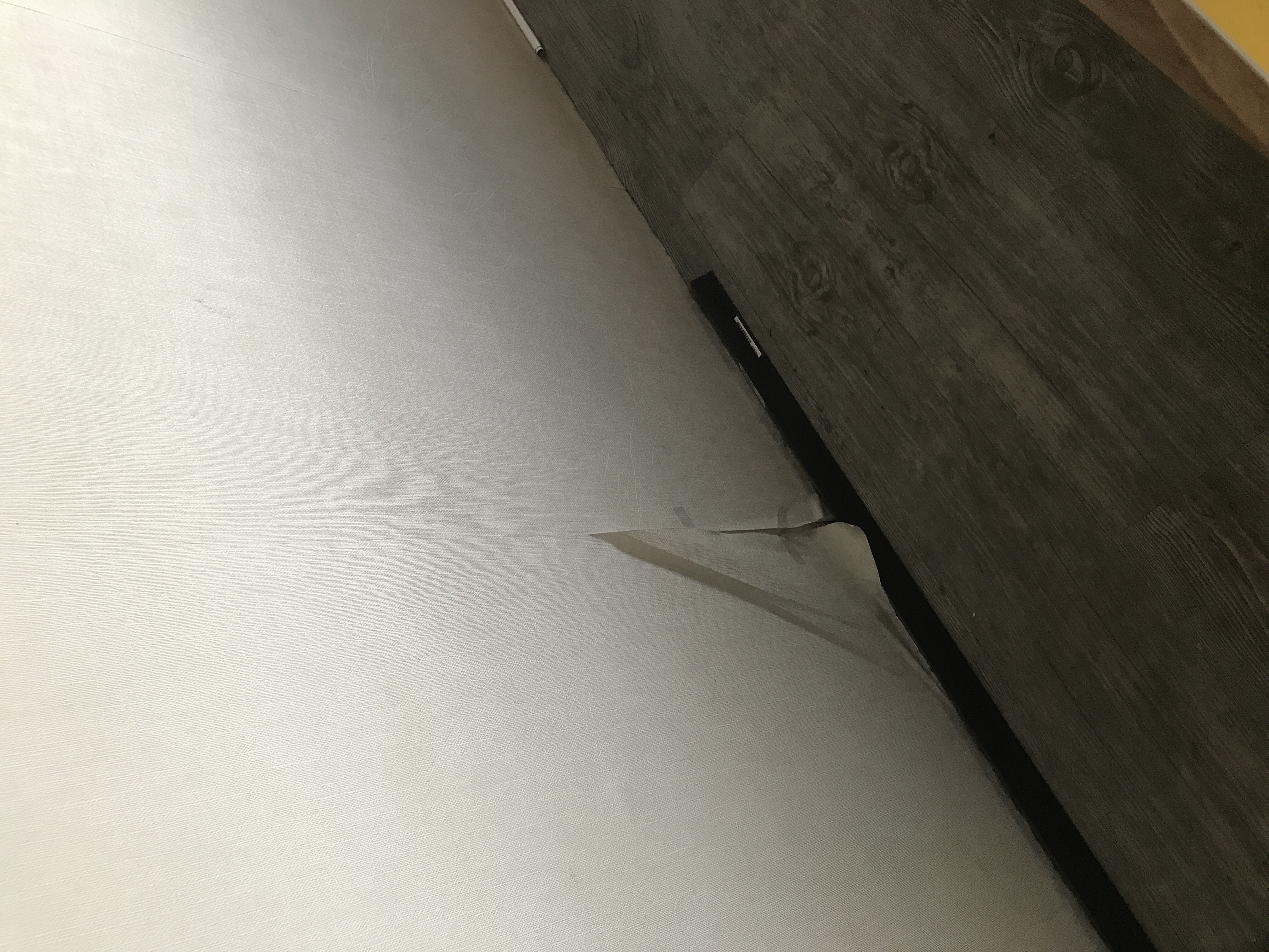 Picture for question