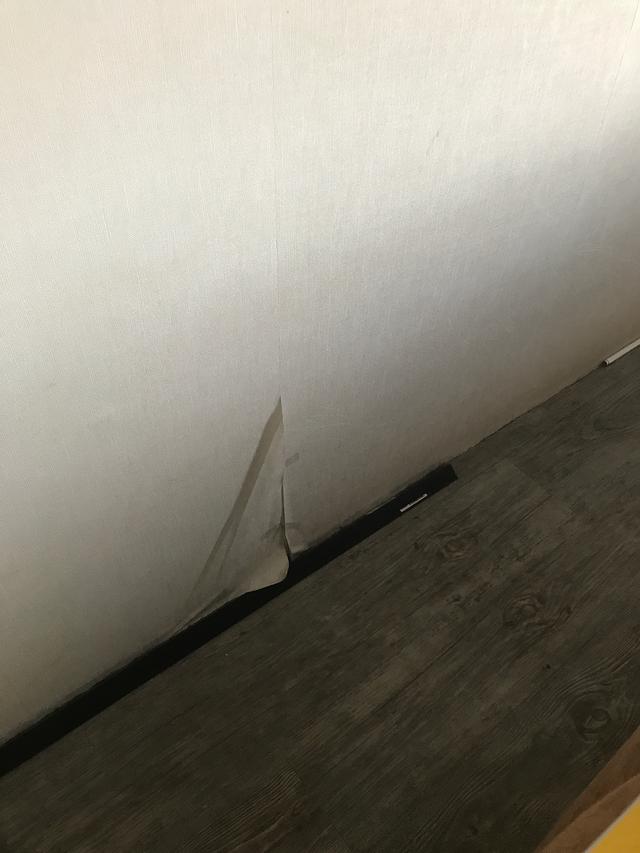 Picture for question