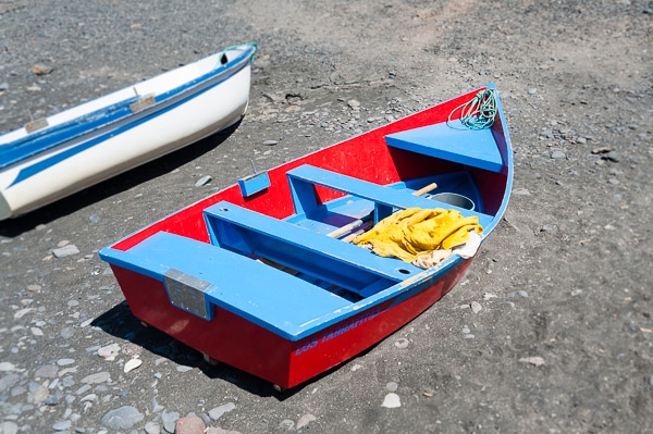 Picture for question