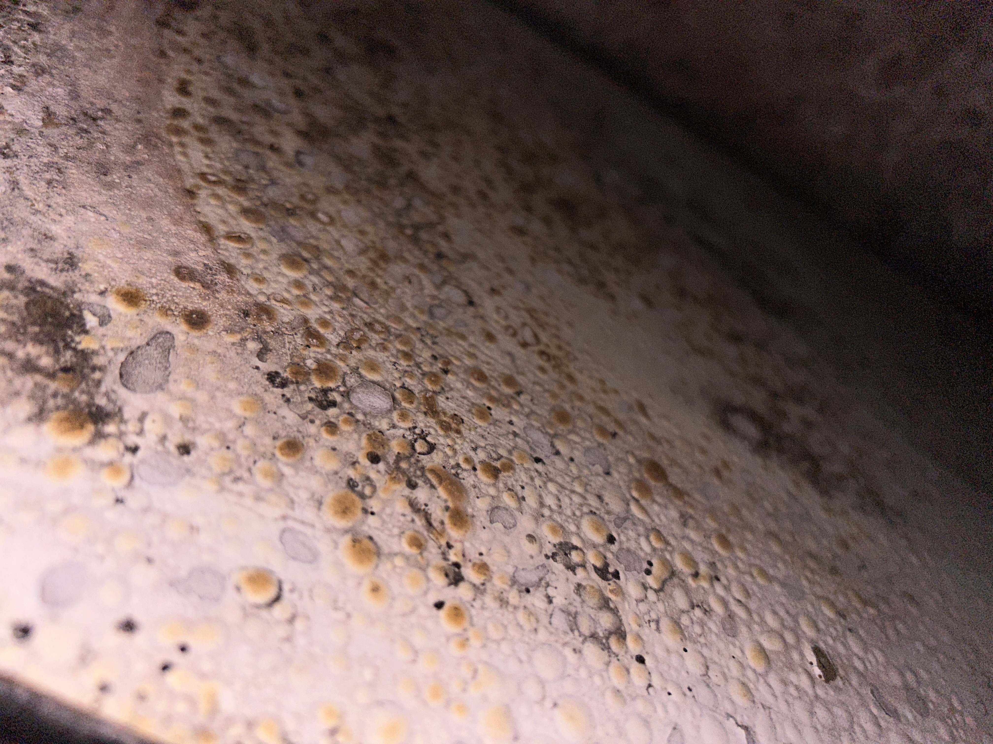 Picture for question