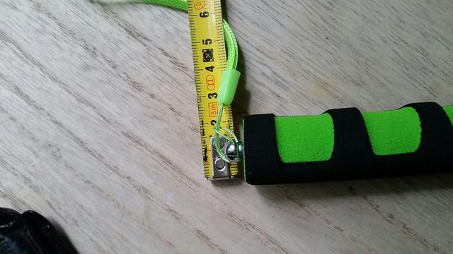 Picture for question