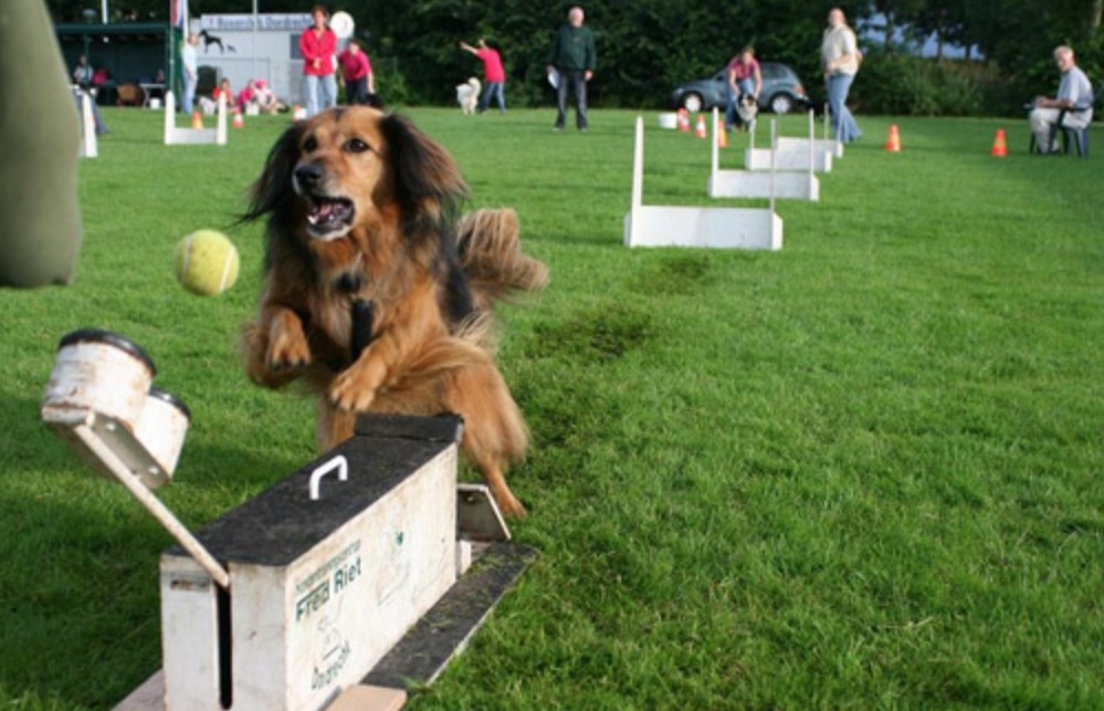 Plaatje bij antwoord