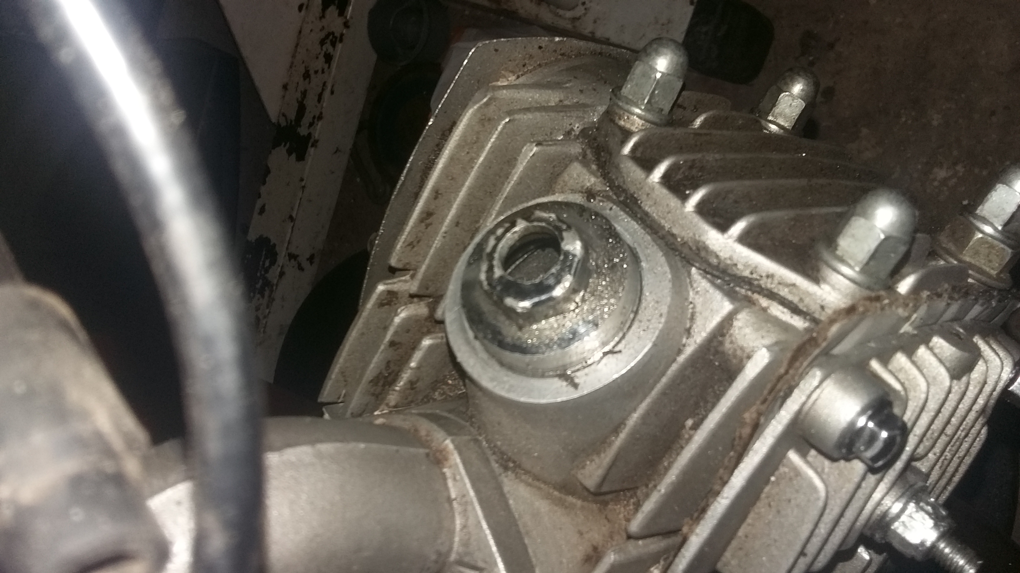 Picture for question